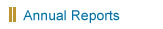 Annual Financial Review...